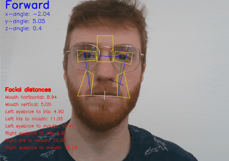 Facial Distances